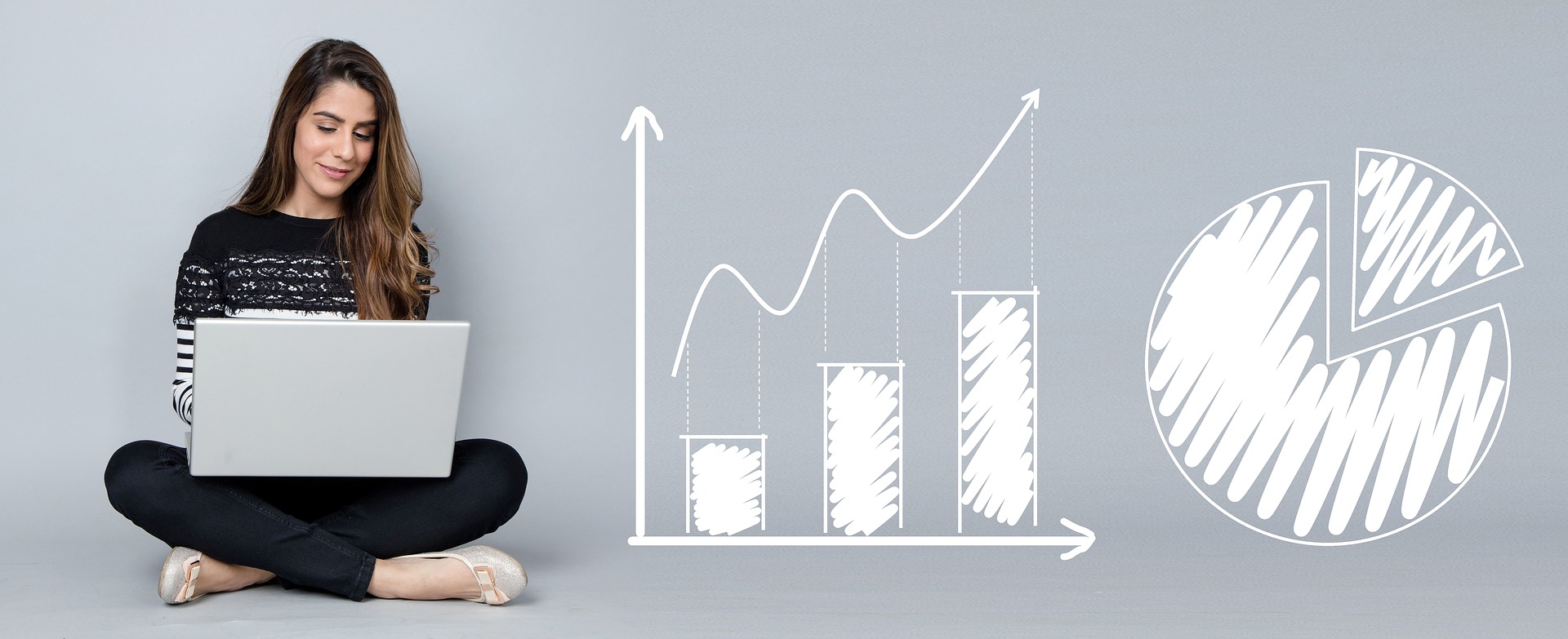 Business Analysis Program